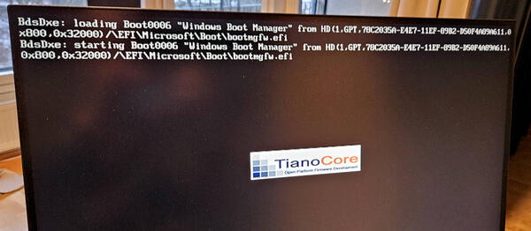 Bootup BIOS logo