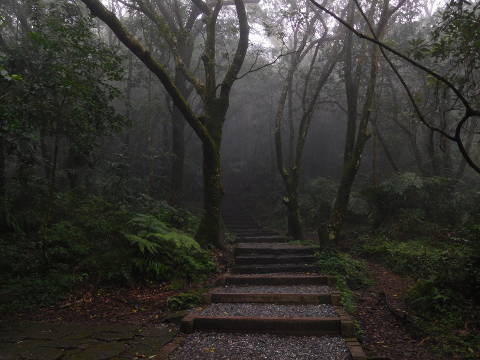 Yangmingshan trail